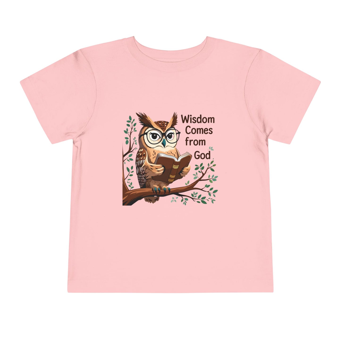 Toddler Wisdom Owl Tee - Inspirational Kids Shirt, Owl Graphic Tee, Cute Children's Apparel, Faith-Based Clothing
