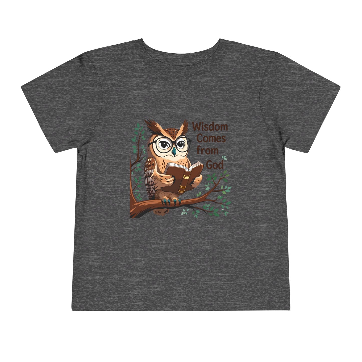 Toddler Wisdom Owl Tee - Inspirational Kids Shirt, Owl Graphic Tee, Cute Children's Apparel, Faith-Based Clothing